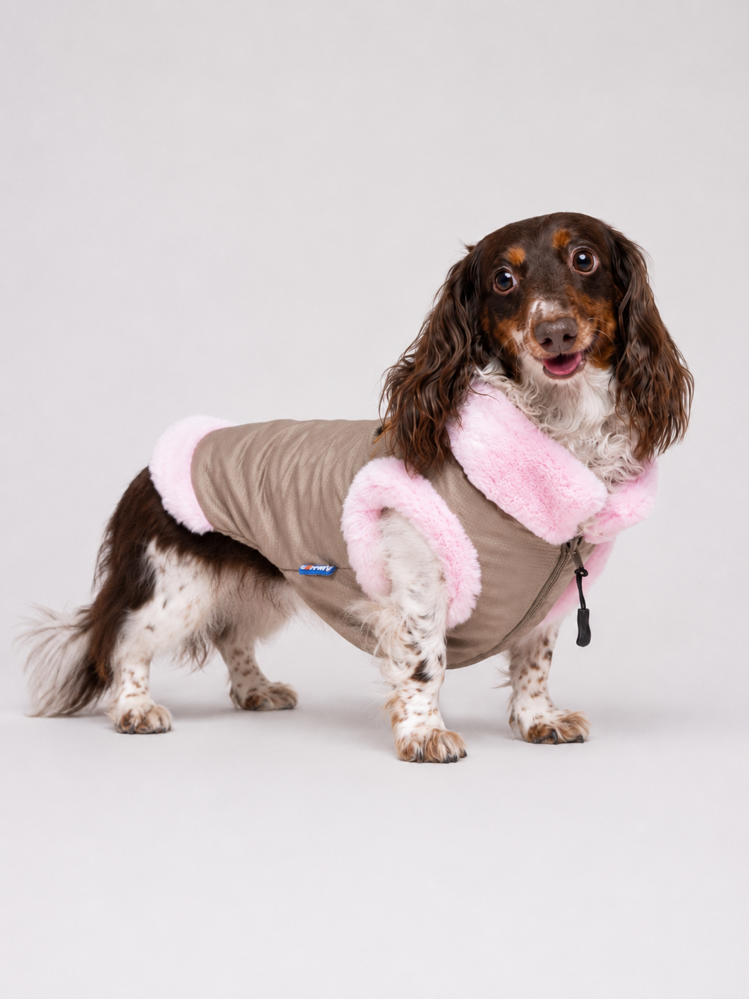 Chaqueta Touluse para Perros Imagen principal del producto