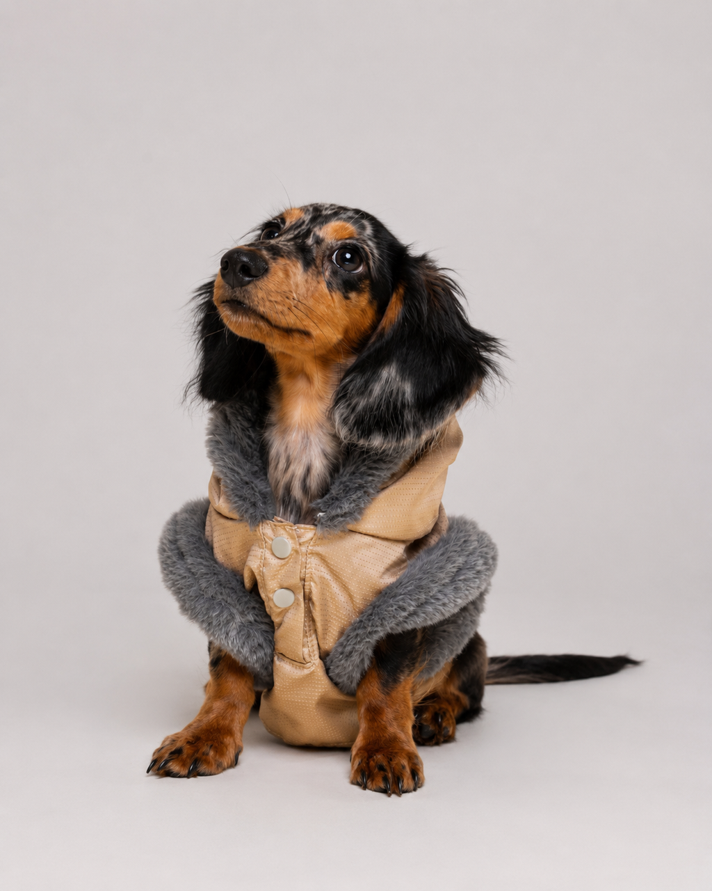 Chaqueta Akira para Perros