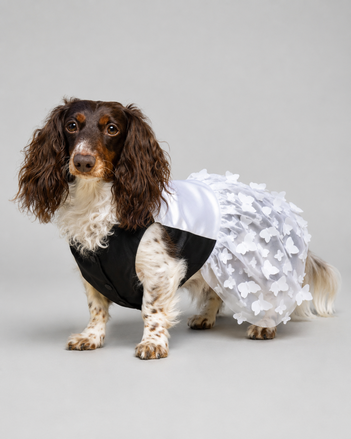 Vestido Marie para Perros Imagen secundaria del producto