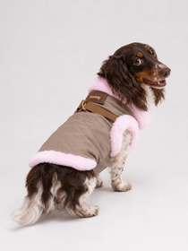 Chaqueta Touluse para Perros