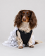 Vestido Marie para Perros