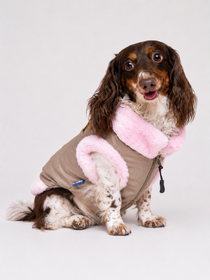 Chaqueta Touluse para Perros