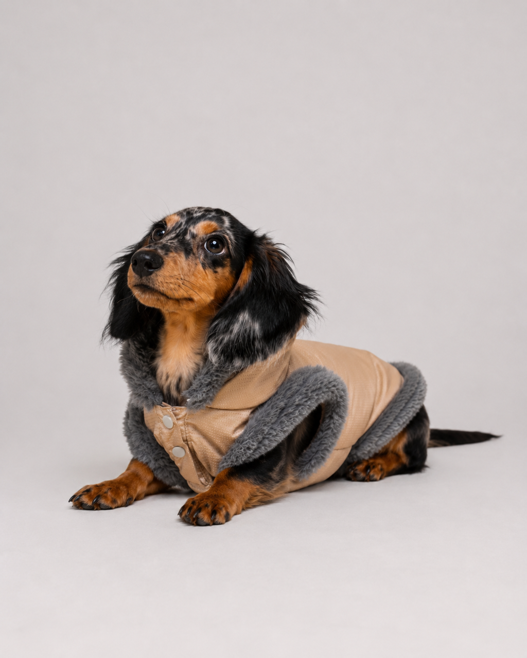 Chaqueta Akira para Perros