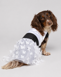 Vestido Marie para Perros