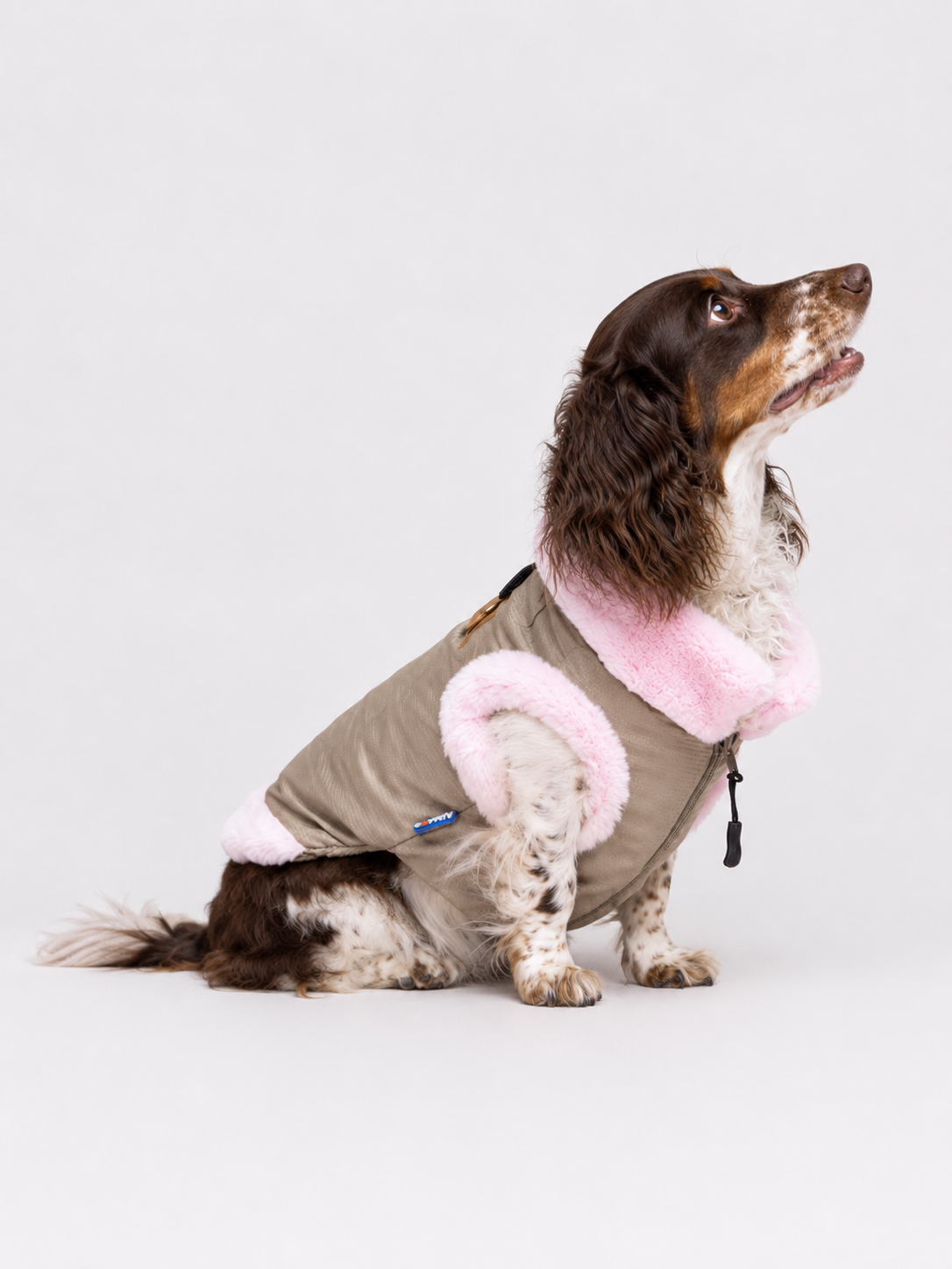 Chaqueta Touluse para Perros Imagen secundaria del producto