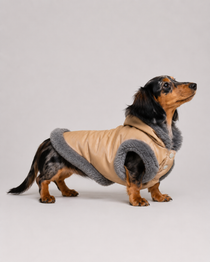 Chaqueta Akira para Perros