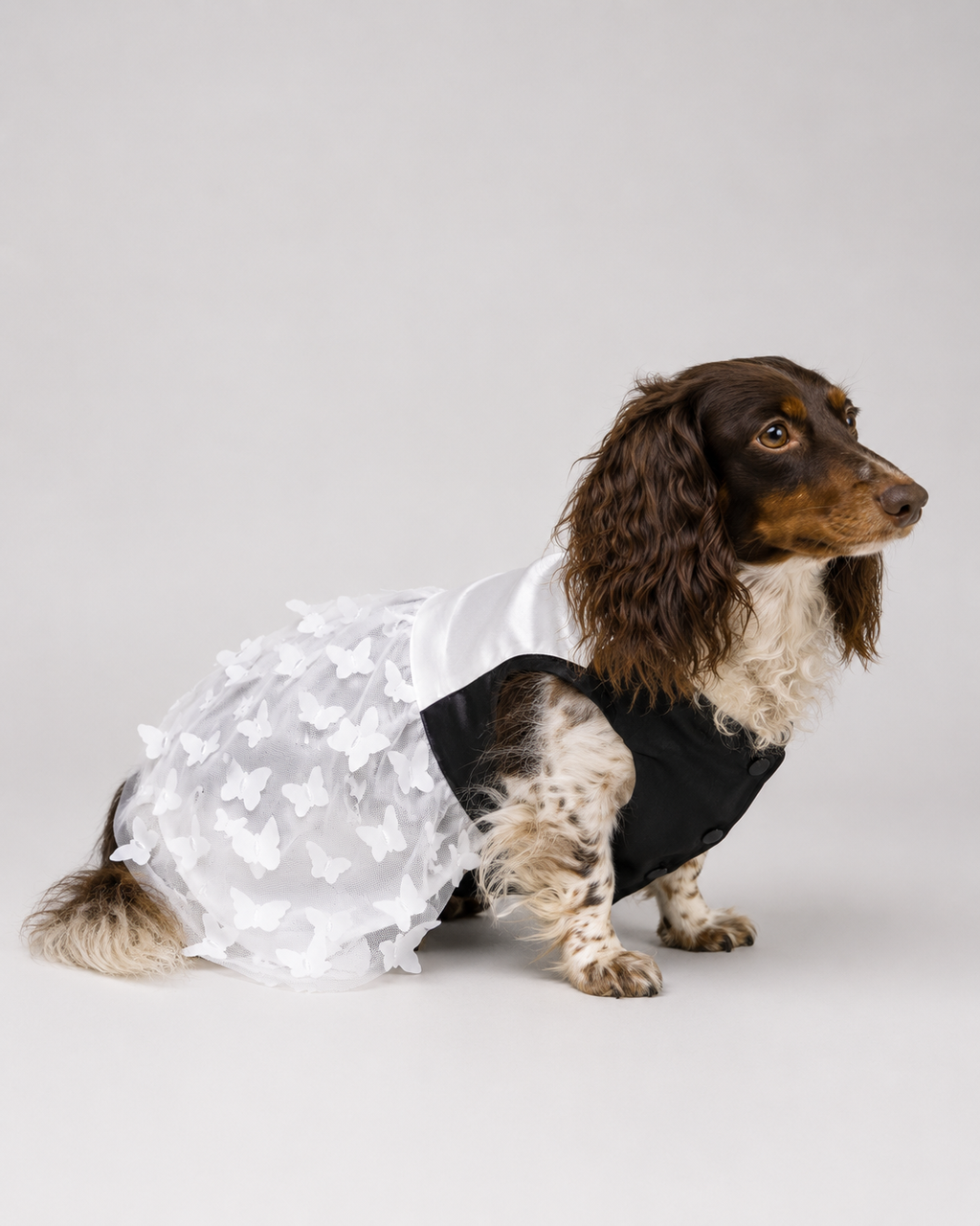 Vestido Marie para Perros
