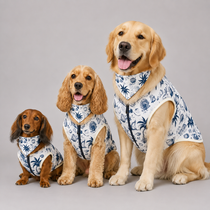 Set Chaleco y Pañoleta Summer para Perros