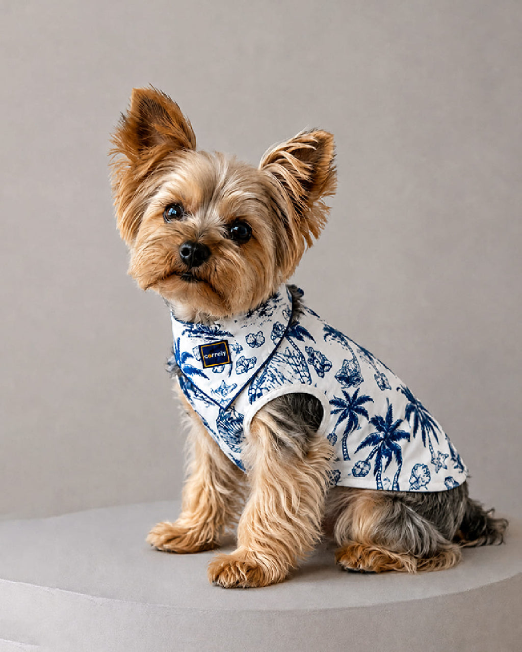 Set Chaleco y Pañoleta Summer para Perros