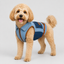 Chaleco Denim para Perros con Cierre Frontal y Diseño Ajustado
