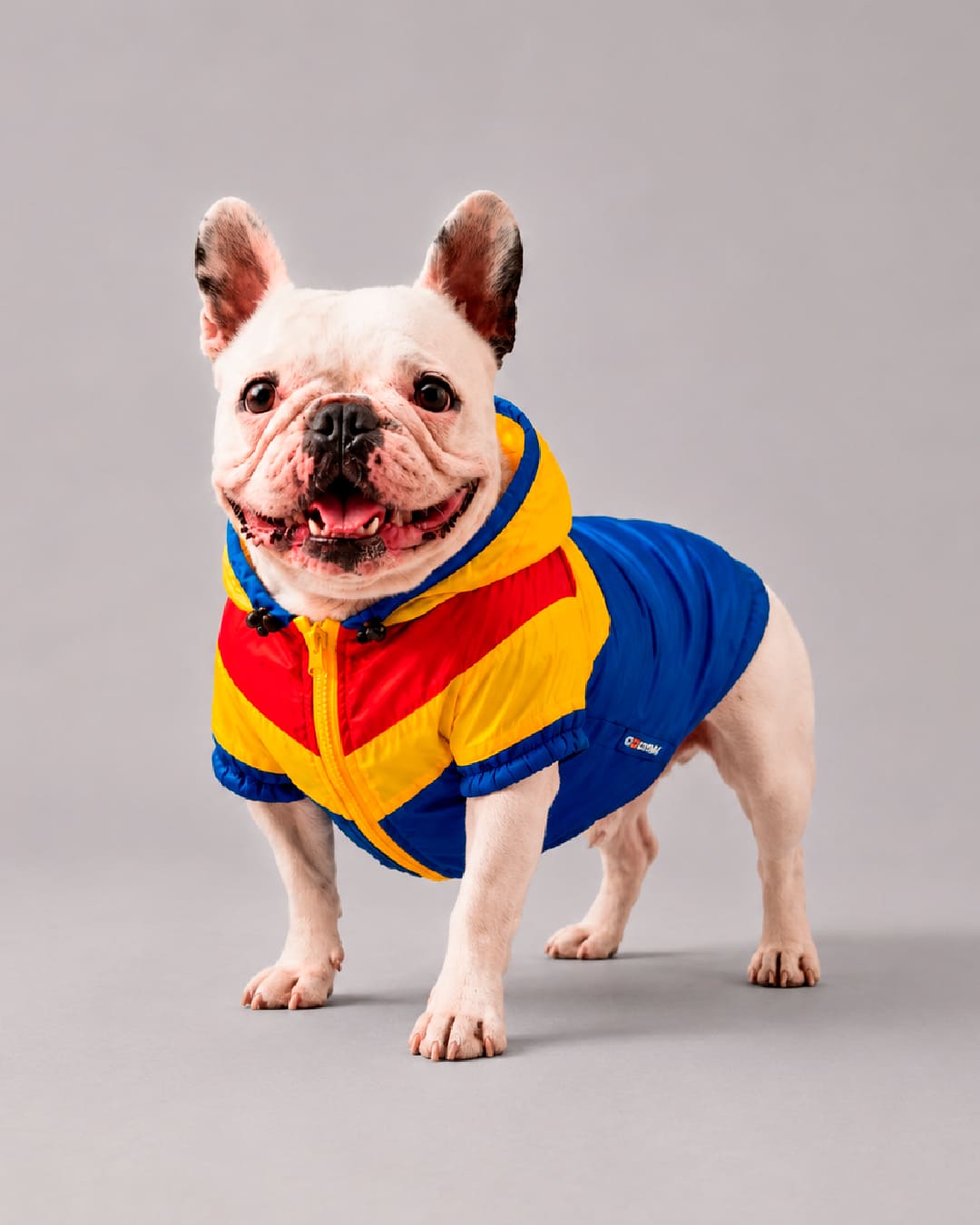 Chaqueta Colombia para Perros Imagen principal del producto