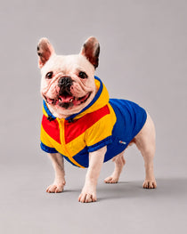Chaqueta Colombia para Perros