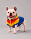 Chaqueta Colombia para Perros