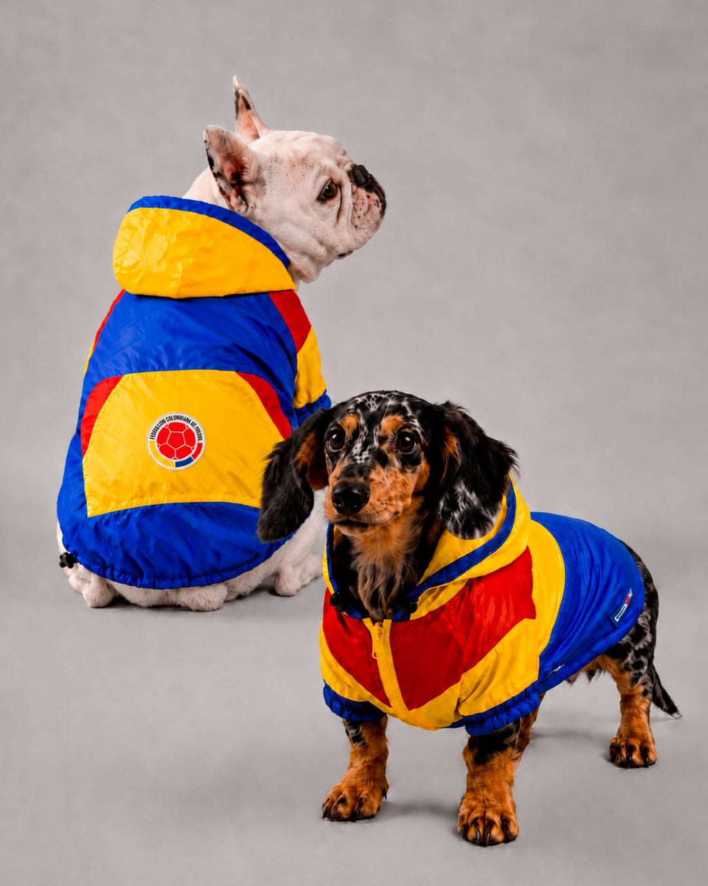 Chaqueta Colombia para Perros