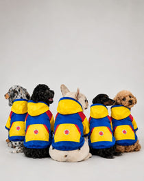 Chaqueta Colombia para Perros