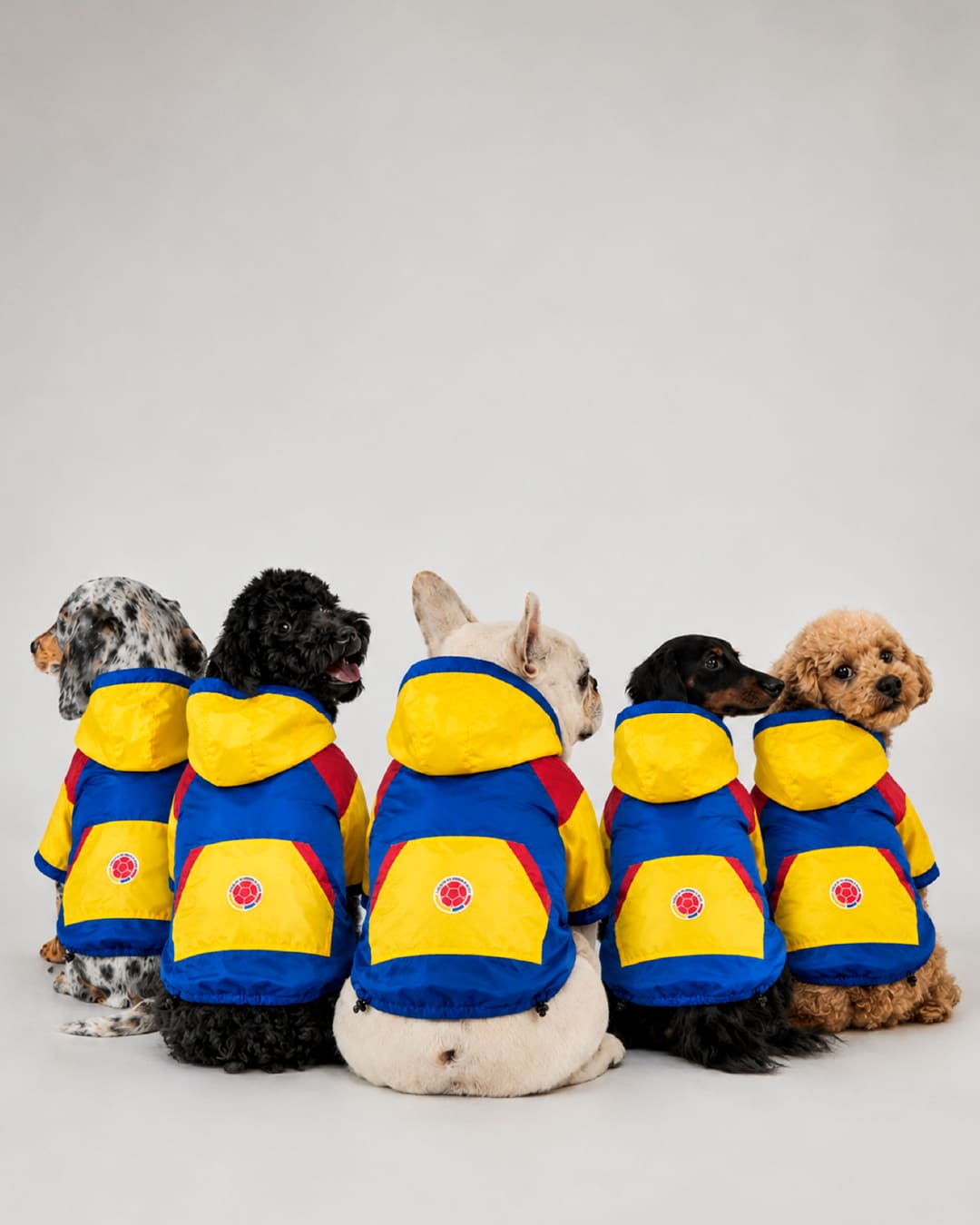 Chaqueta Colombia para Perros
